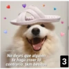 Secuencias de perritos  2 16
