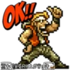 Metal Slug 20