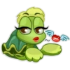 Beauty_turtle 21