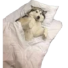 En esta  amamos los perros 23