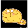 yellow cat 24