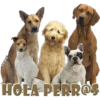 HOEA PERRO
MIKE