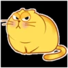 yellow cat 25