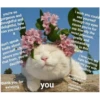 Love cats 2 21