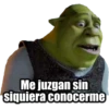 Shrek (by Estrella AA) 21