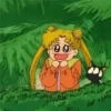 Sailor Moon 2 16
