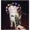 100
Me
You
your endless love&affection