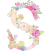 Letters with flowers 20