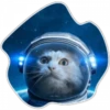 Gatos do espaço 21
