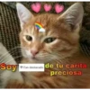 Soy
Fan destacado
de tu carita
preciosa