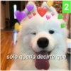 Secuencias de perritos  2 23