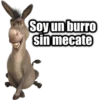 Shrek (by Estrella AA) 24