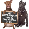 НАУ
GENTE PENDEJA
PERO TU
ERES MEDALLA
DE ORO
MIKE