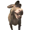 Shrek (by Estrella AA) 25