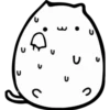 Fluffy pretty cat 17