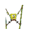 Bob Esponja 24