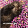 me thinking of you