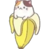 Cats in bananas 7