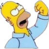 Homero Simpson 27