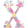 Letters with flowers 22