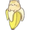 Cats in bananas 8