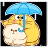 yellow cat 28