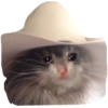 Memes loucos 26
