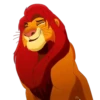 Simba contente