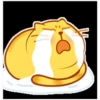 yellow cat 29