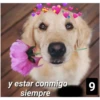 Secuencias de perritos  2 26