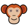 Animals 17
