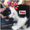 Me giving
you all my love
You
Wholesome.kitties
