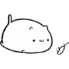 Fluffy pretty cat 18