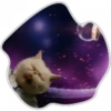 Gatos do espaço 24