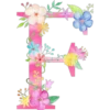 Letters with flowers 25