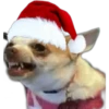 Memes Navideños 30