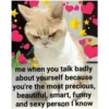 Love cats 2 28