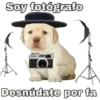 PERRO 1 14