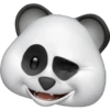 Memoji Pandita 15