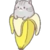 Cats in bananas 9