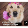 Secuencias de perritos  2 28