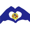 América MX 29