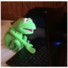 Kermit the frog (pics) 3 6