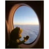 Kermit the frog (pics) 3 7