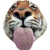 Tongues 6