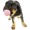 Tongues 7