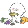 ✿Bunny Star(๑╹ᴗ╹)✿ 7
