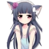 Meow 5