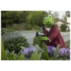 Kermit the frog (pics) 3 8