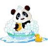 Panditas♡ 7